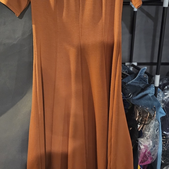 Banana Republic Factory Seamed Soft Touch Scuba Burnt Orange Midi Dress - Picture 6 of 6